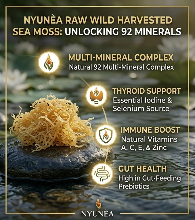 🪸NYUNÈA®                                                                                                             Raw SEA MOSS   ~Wild Harvested~                 -Natural 92 Multi-Mineral Complex-                           (1x)/(2x)/(3x) (100gr Packs)